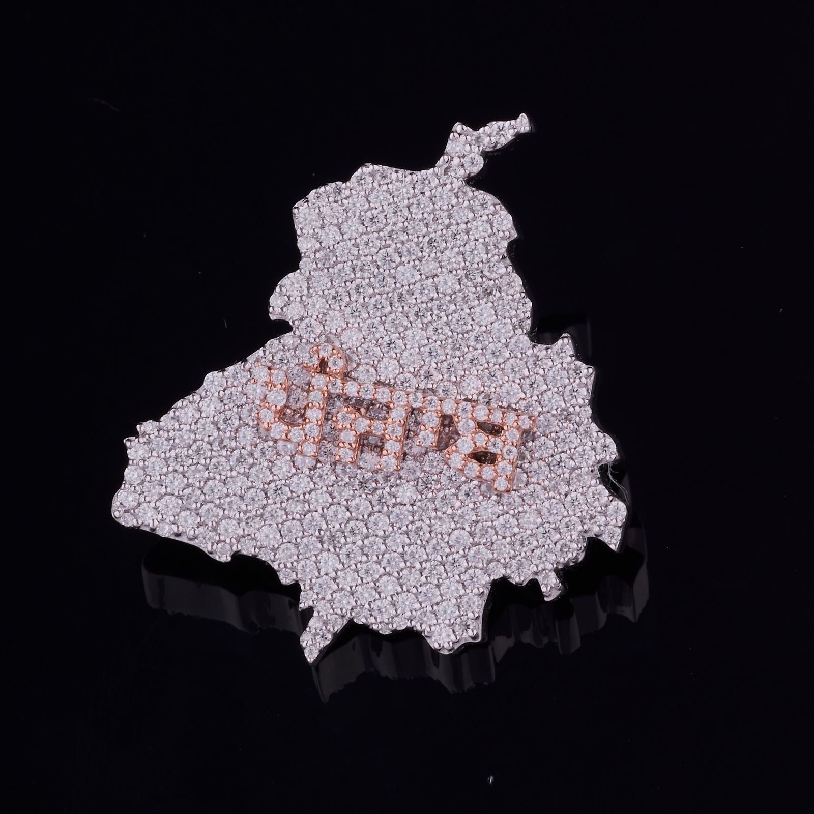Punjab Map Pendant