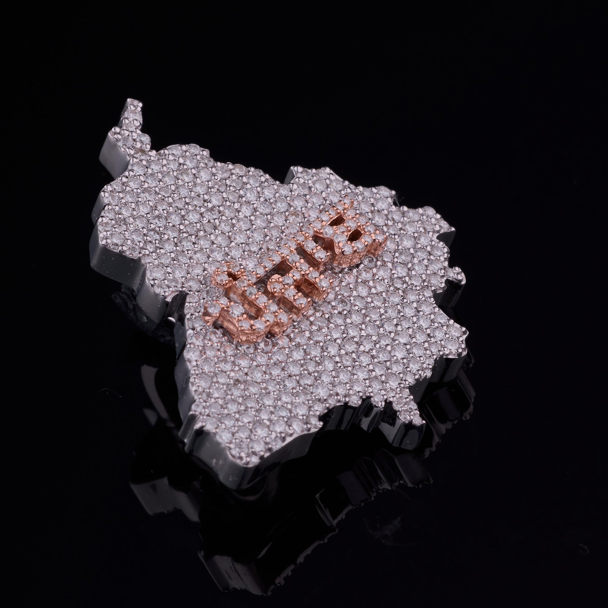 Punjab Map Pendant